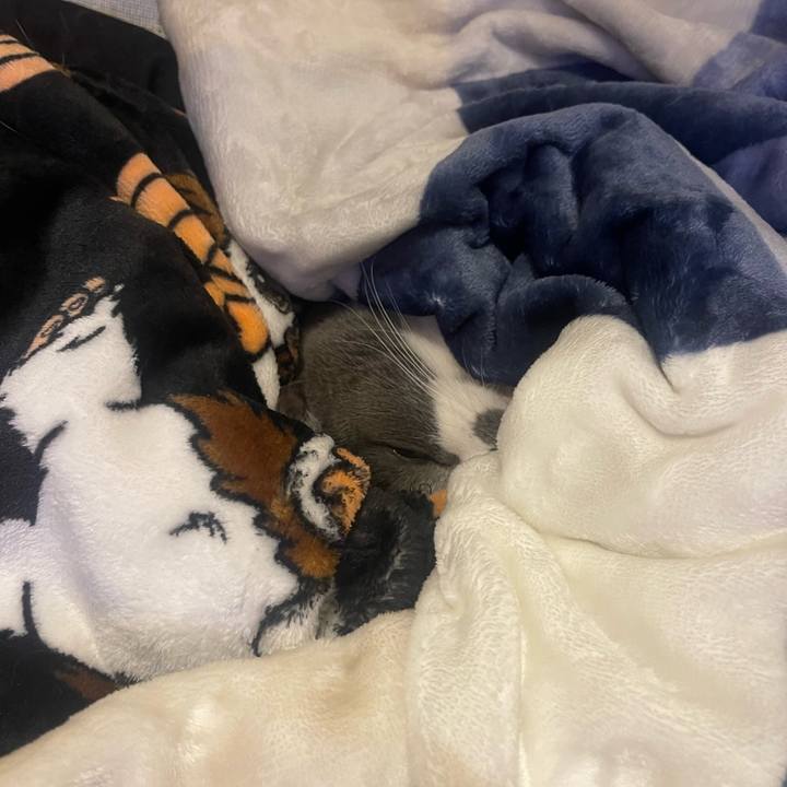 6acf800b 0dc4 48e5 9296 243c58a8f811 1703761175008