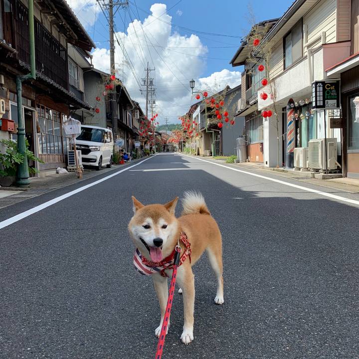 6acf9505 92a5 4e76 a031 e98d6cd0bceb 1595057454978