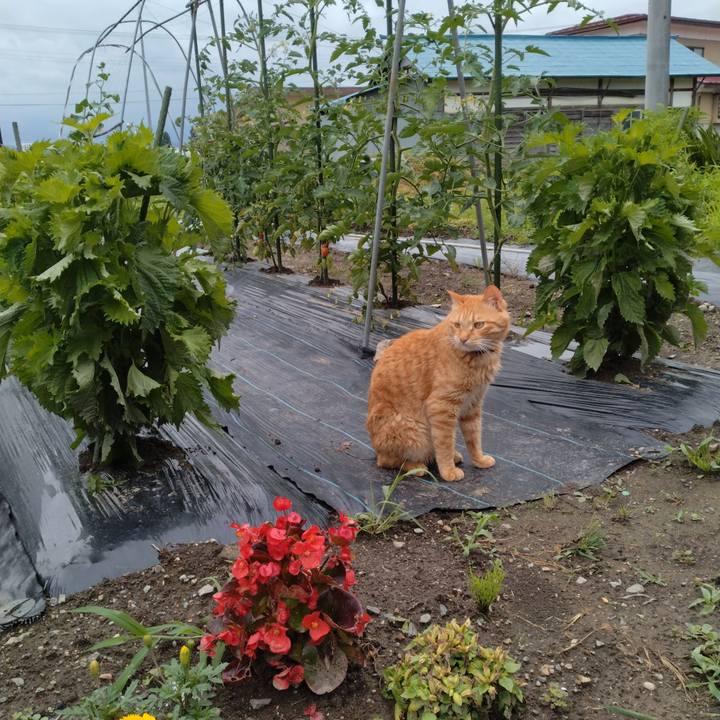 6acf961d 6bc7 4a6f 82be 45ab03ff7a60 1687936020405