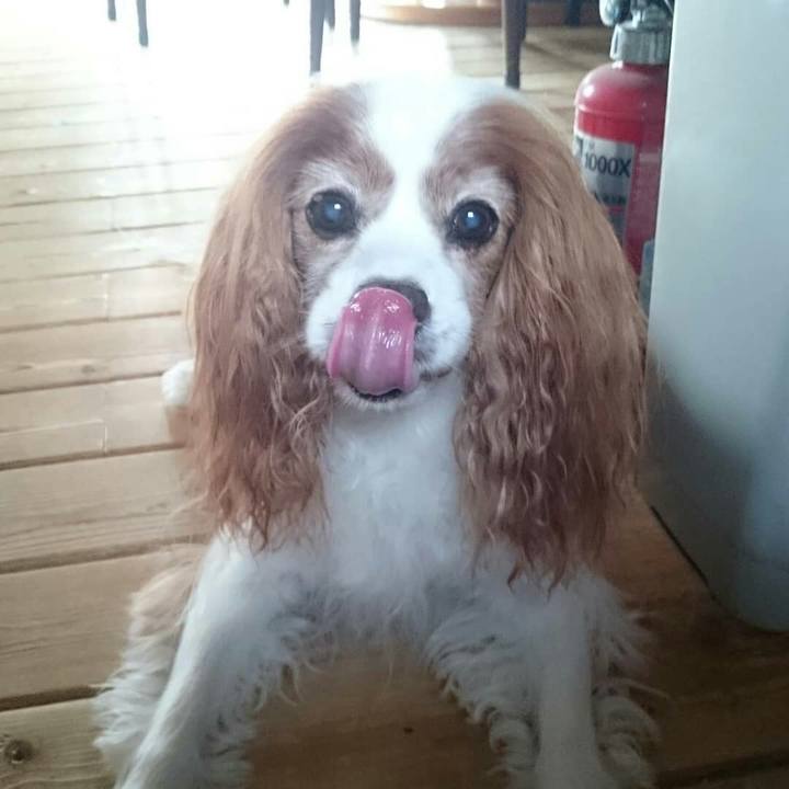 6acfbe71 5843 438d afdc e125de56ce01 1568006559226