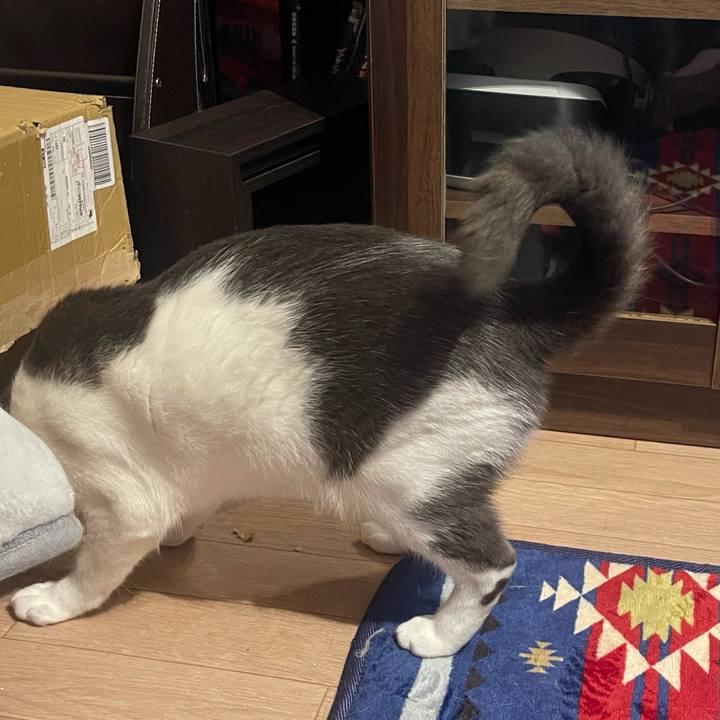 6acfd374 e1c9 4cd5 91c8 cab66396942f 1625235741810