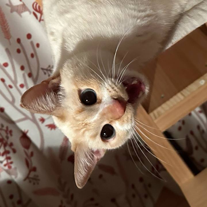 6acfee46 57d3 4f31 b945 a11eb473d6dc 1771590573395