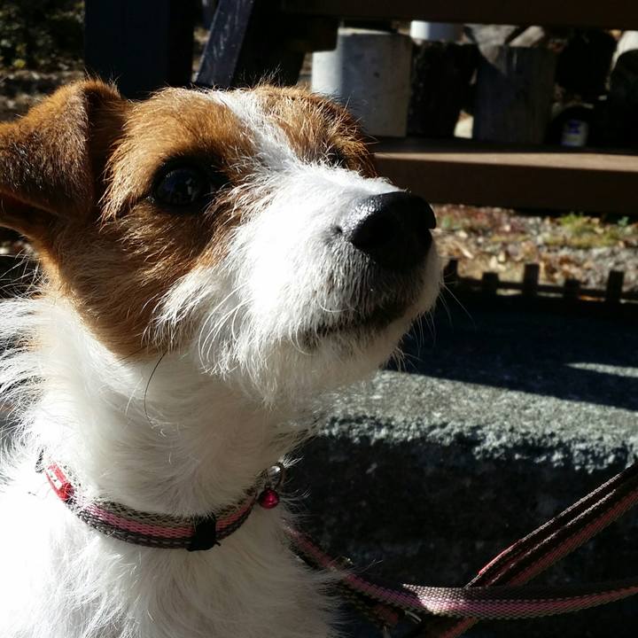 6ad00334 0c22 4ae5 9e6c 193818132158 1512218647099