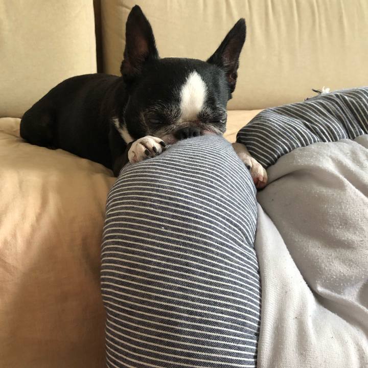 6ad022eb e453 420f b8ee cc83b5124d46 1721260588671