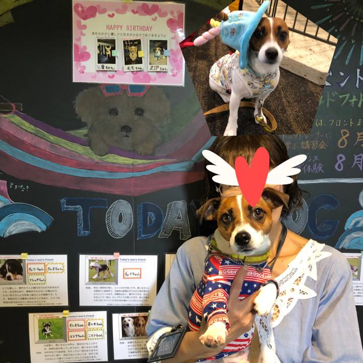 6ad03371 6c5a 48d9 a20e 8d4f632e7371 1566828228493