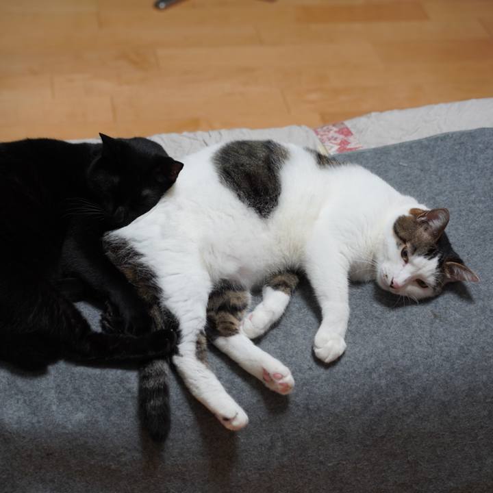 6ad04c3b 8dbd 4d46 bef0 4ac34a258f03 1631880495129