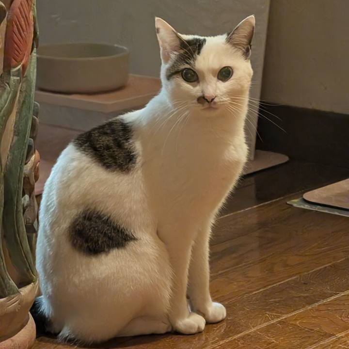 6ad05f2a 0105 4627 b051 8ccad6595898 1725812032414