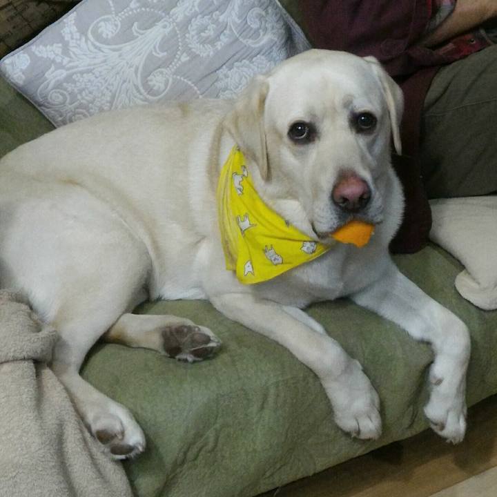 6ad06bcf 3ec2 4be8 b79c f45526bfd5ac 1516706405966