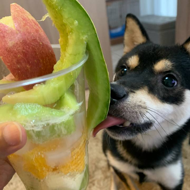 6ad078a3 56fd 4112 957d 762f4ef470d7 1589425303667