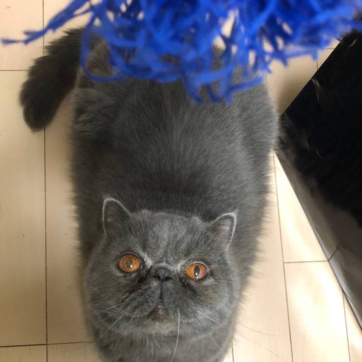 6ad0822b 545e 46c7 a465 ceb300ccda07 1563803588186