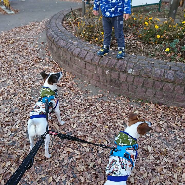 6ad0986a 1b11 4c44 b7a2 916c996fccfc 1544002914071