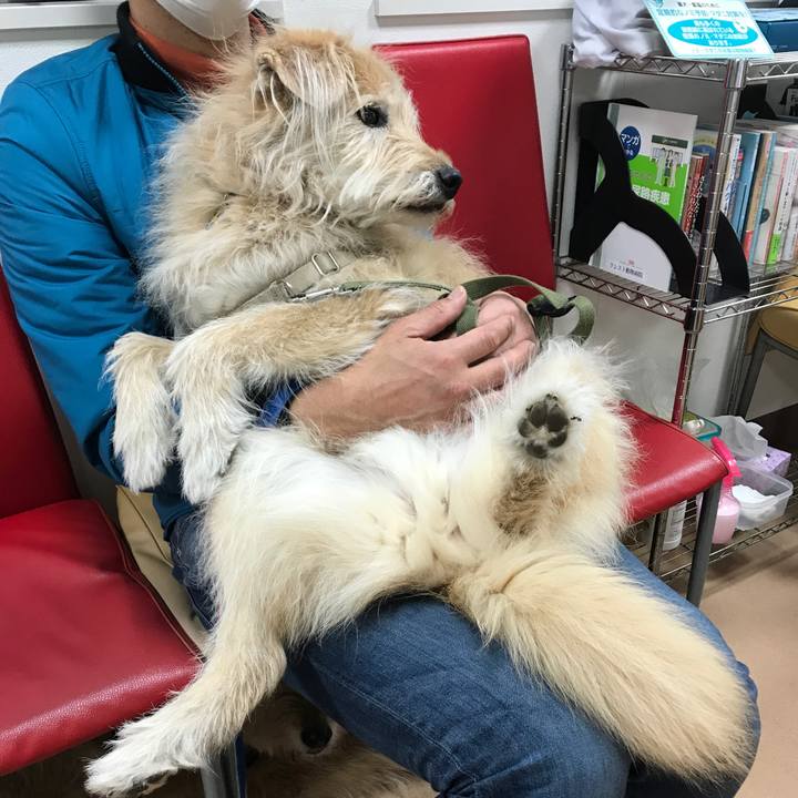 6ad0a217 e59b 4afa 9401 481a53e94b04 1618759123806