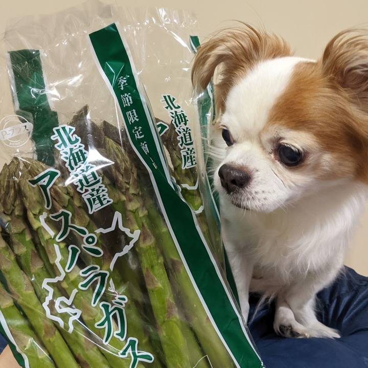 6ad0a5f6 977e 4e85 a2e2 b9fece117cf8 1621951765472