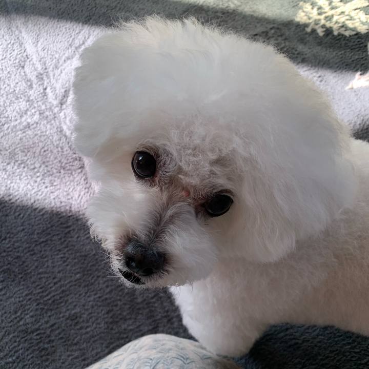 6ad0de8e 3166 4efa a165 39387ae53132 1664493801803