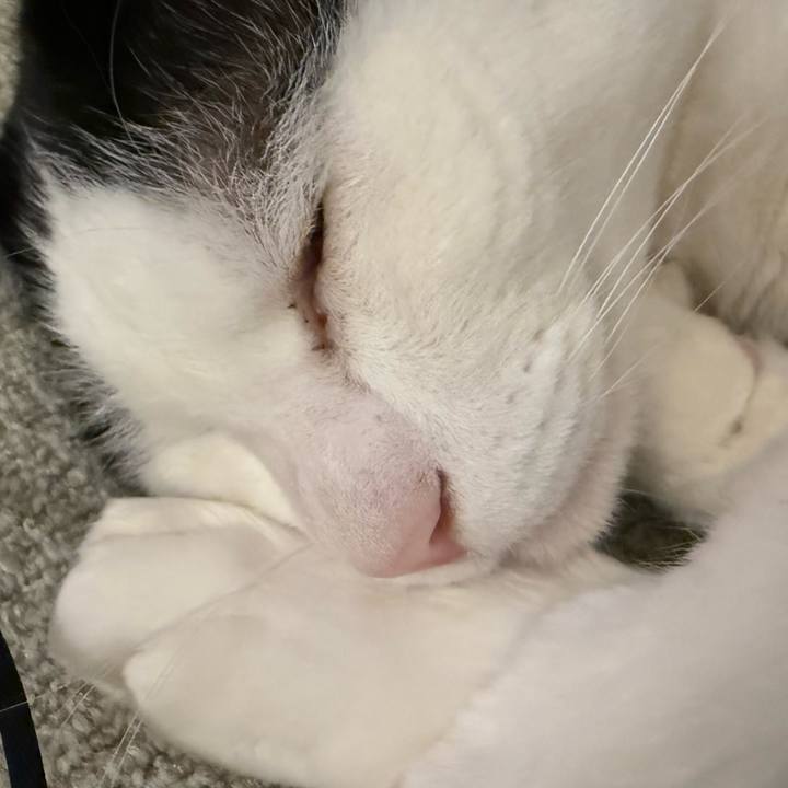 6ad1247e bde6 4104 beaa 0dc6dfb4b4f5 1735819719986