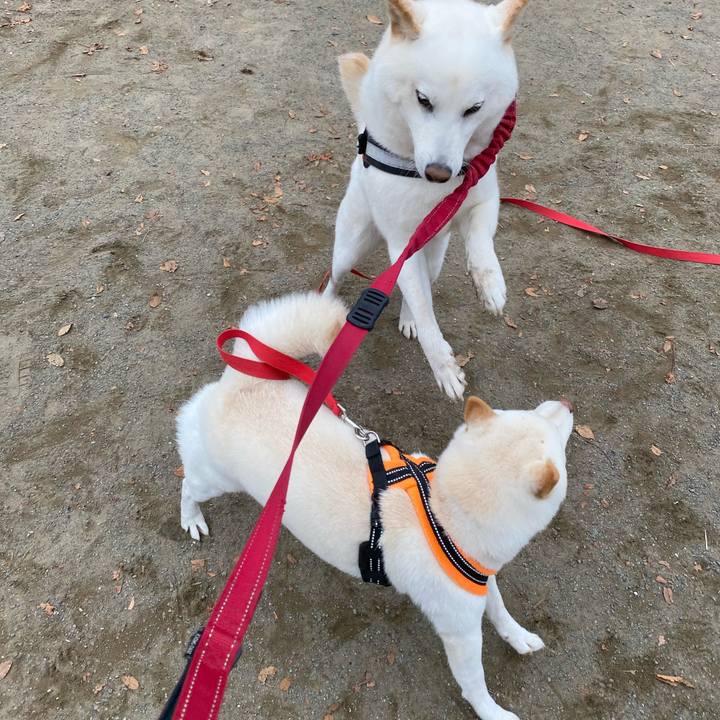 6ad145a4 776f 49c6 8469 11bb7ac6c05f 1637483840606