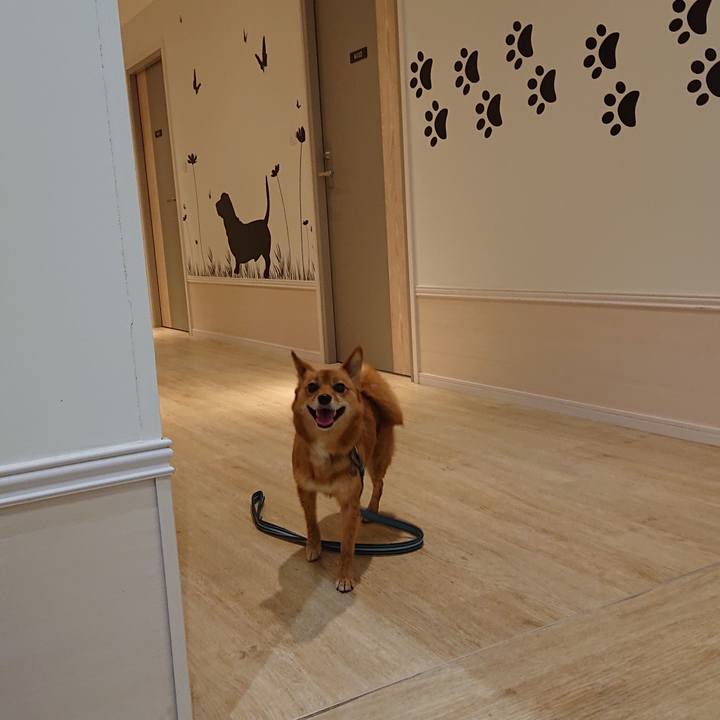 6ad1b094 02eb 4279 a066 6ab8d91d5fdb 1583916626516