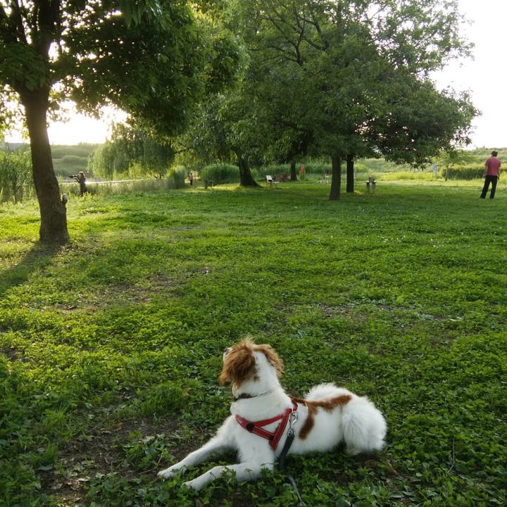 6ad1c60d b345 4346 a0c8 918be39a908f 1527422245747