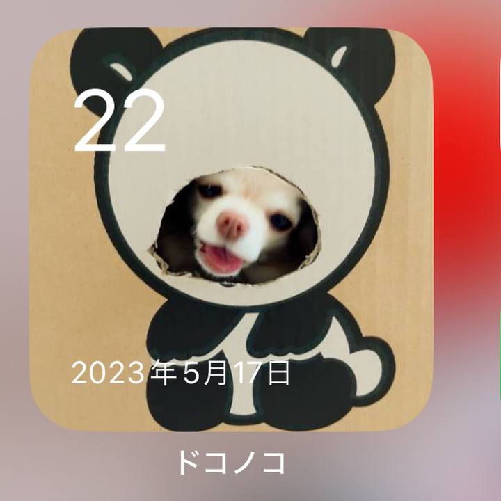 6ad24004 cd0b 40e9 9b86 81ef80af8b5c 1716334099952