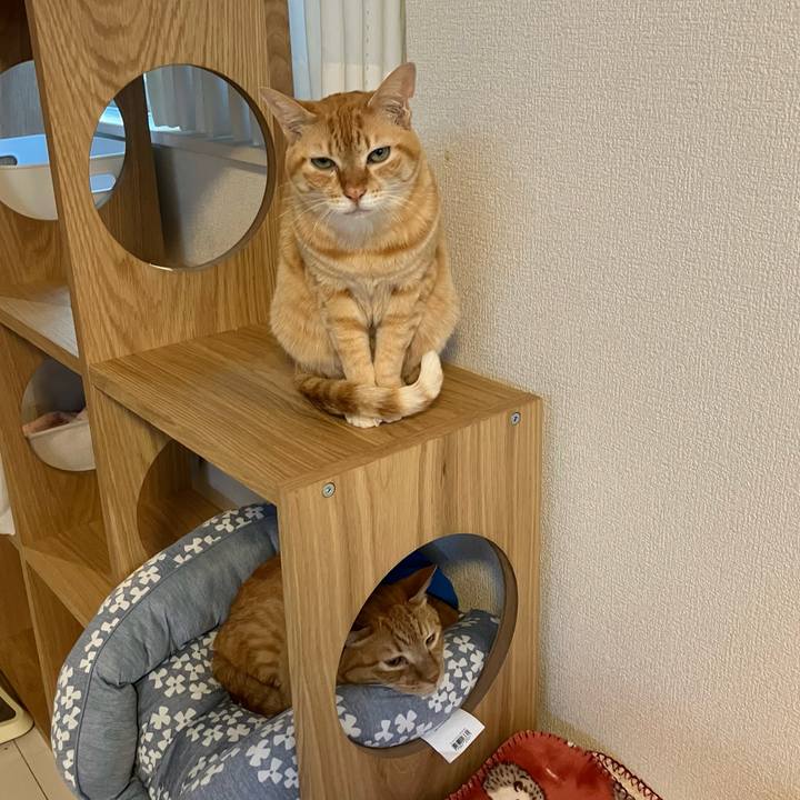 6ad2920d b469 4d9b b8ea a8e2b0cdeff3 1771194256071