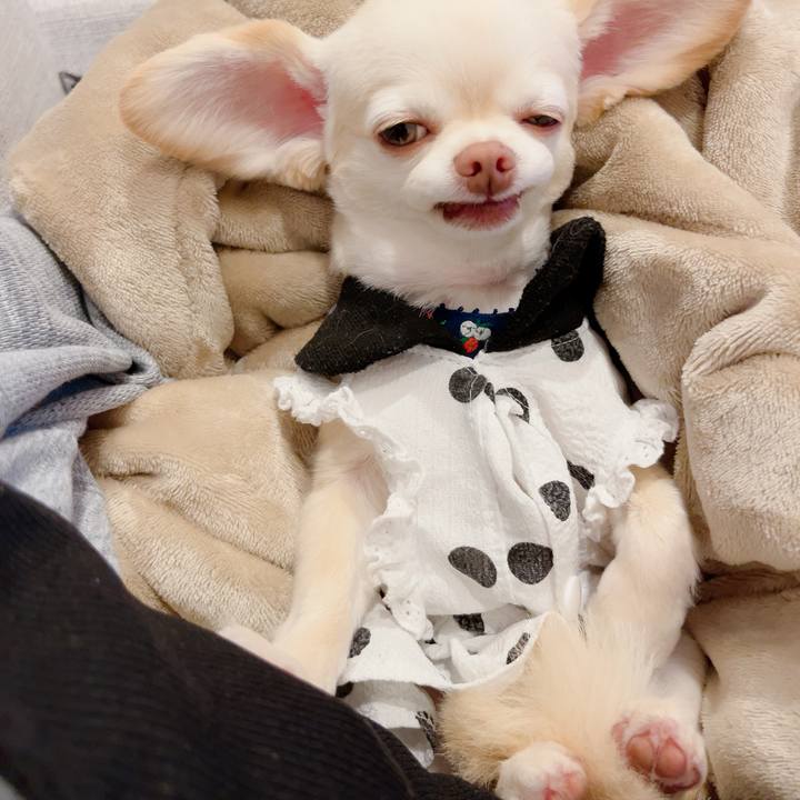 6ad29562 d169 4143 81d5 c115b3938806 1721705330286