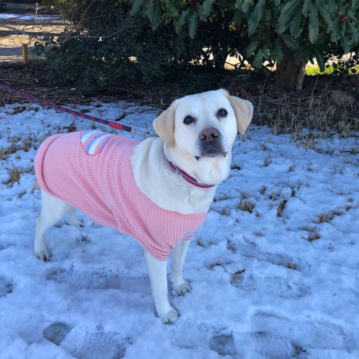 6ad298ee dd62 4b0a a2c3 1c3375fc338d 1644576731040