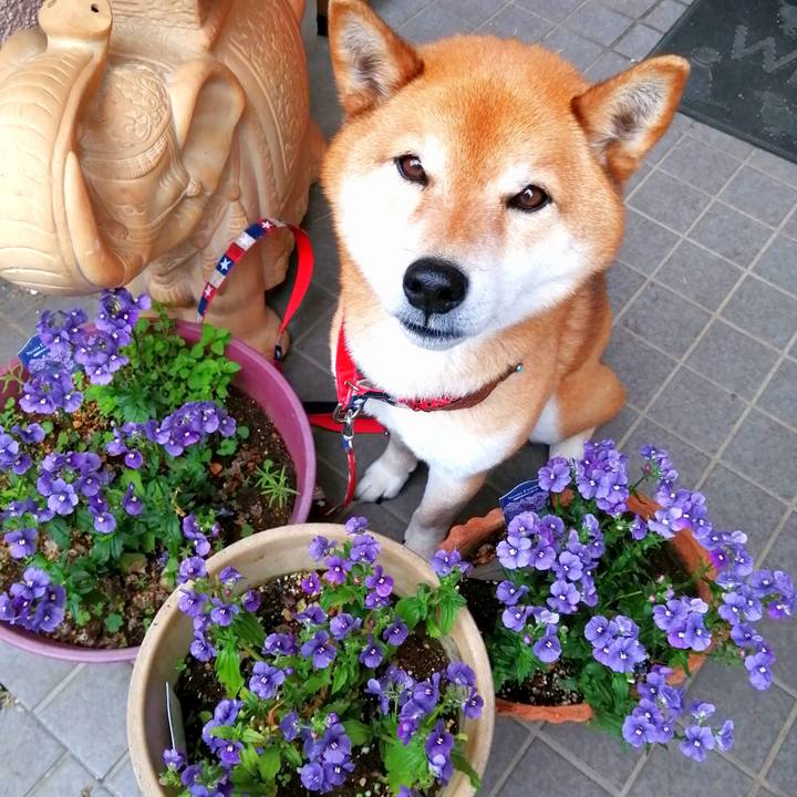 6ad2cc99 f967 444a 9cad fba5212e2eb3 1650416097321