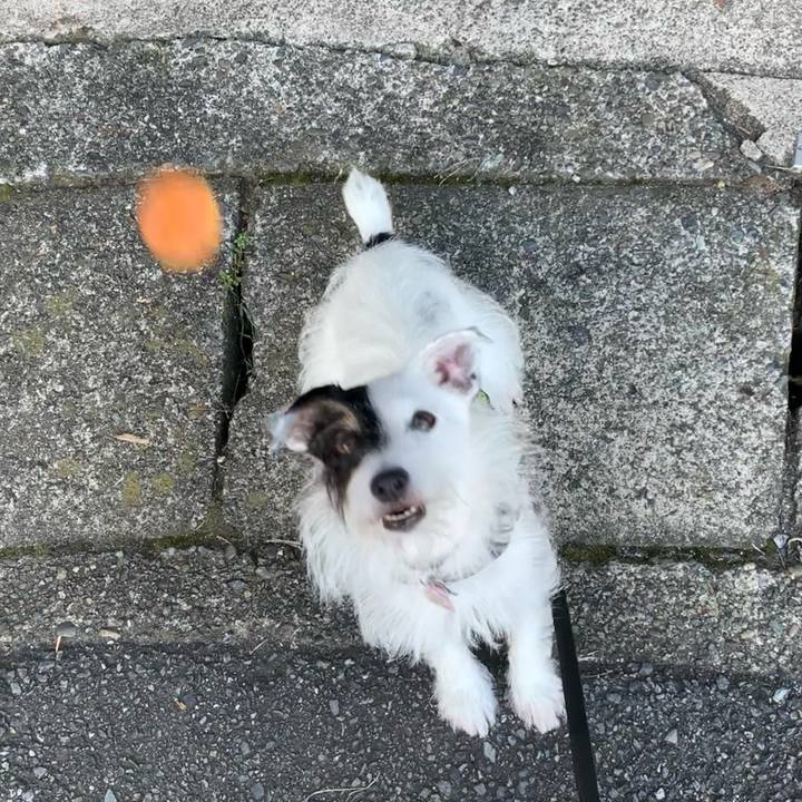 6ad36d27 d197 4032 ae0c 175edfbeb07b 1662766713282