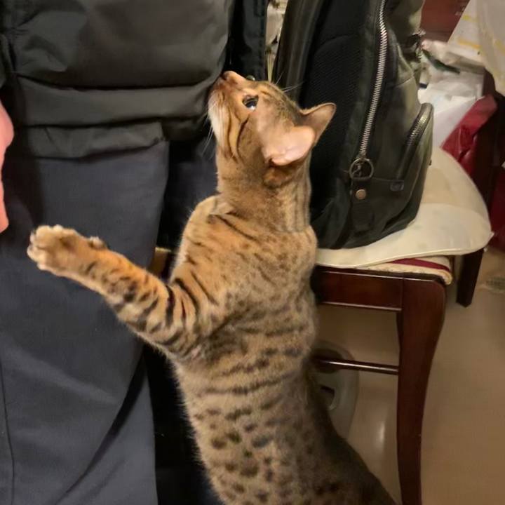 6ad37a94 9dc2 4c6b b2ef 9d43122a8f69 1578099921445