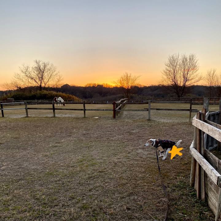 6ad38000 f6de 4ba3 987d d10dcb4cbd37 1609472123679