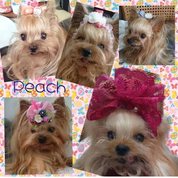 6ad3bf46 deeb 44d9 bc82 0554efb58dcd 1706429419490