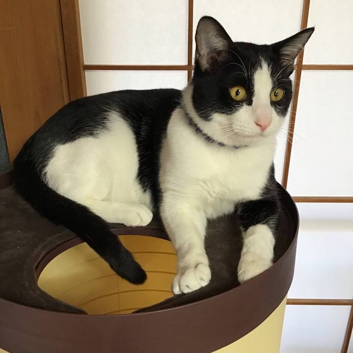 6ad3c8e8 10c1 4dab 9e38 a7f080c3da50 1640649375268