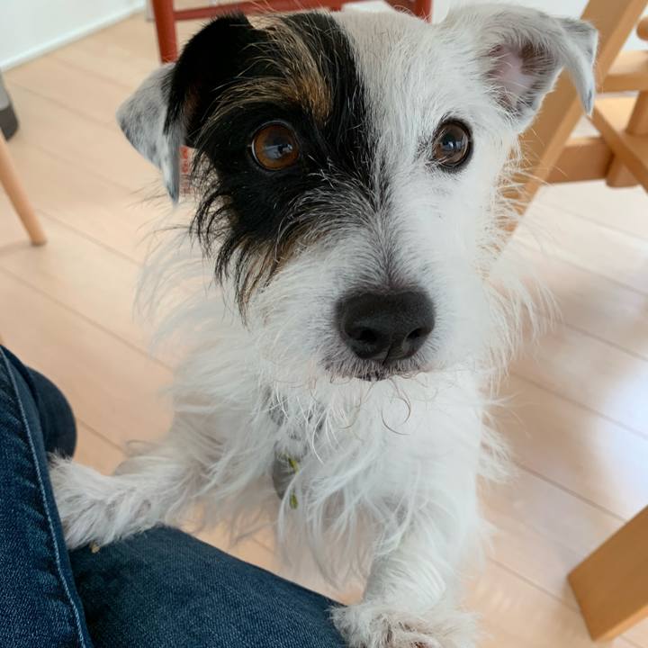 6ad3cf74 4d91 4d0e 9508 63eb2a03f609 1573599796830