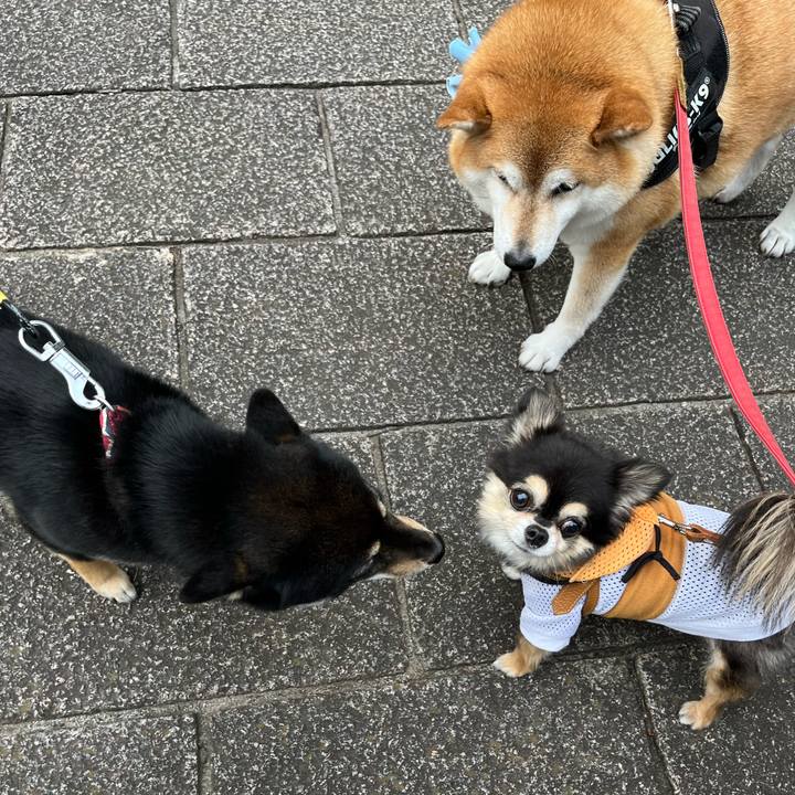 6ad3f415 a780 4ad3 aae2 c44a641c21fc 1653901101030