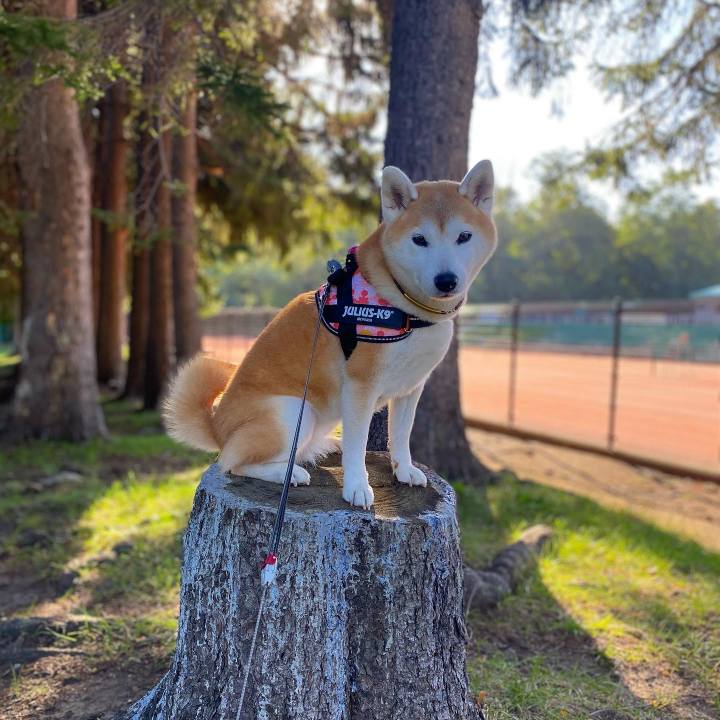 6ad3fc78 3a32 41ce 8b15 b4e32adc27df 1697155410501