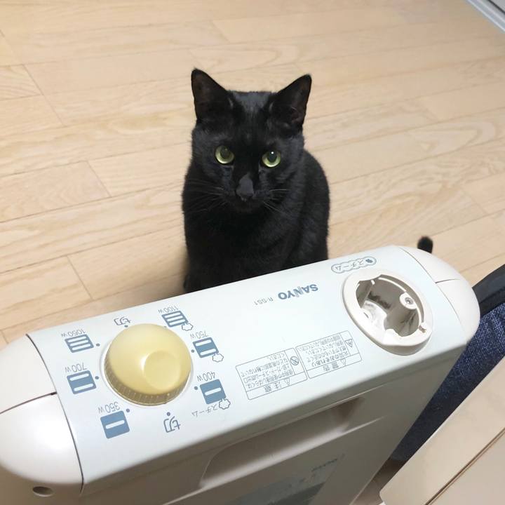 6ad4041b 88a4 491e 819b 2d86fc2d3756 1586263988887