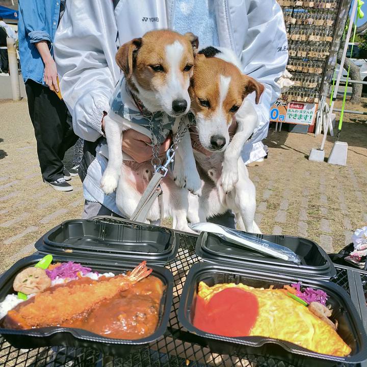 6ad47697 7574 4a44 a2f1 276303574c35 1772353628388