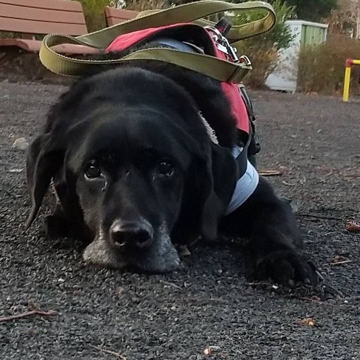 6ad478ba 232f 40f0 81ff 32e434406443 1705964786857