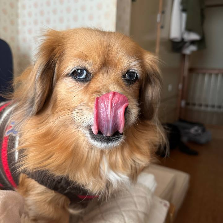 6ad4c854 c991 49c3 bfca e938f7476be1 1736112811779