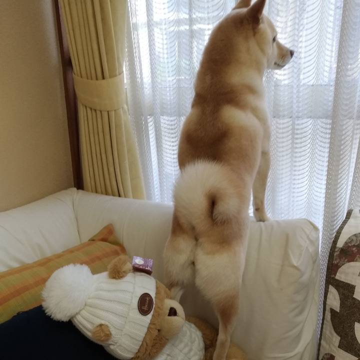 6ad4db7b c124 476f ab09 2ead1a513aa6 1578874280162