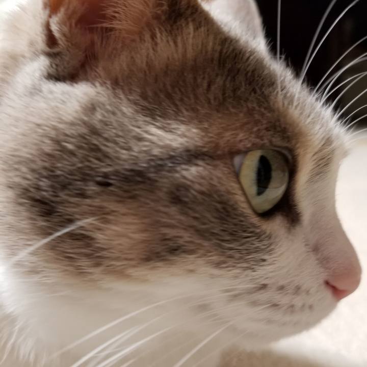 6ad4e96d 61b6 4322 a5ae 01e171f4a3b5 1612620305936