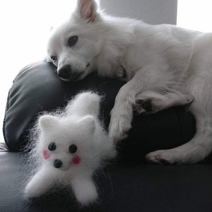 6ad53646 3690 48c1 b37f 99f23a5eceb8 1526374940693