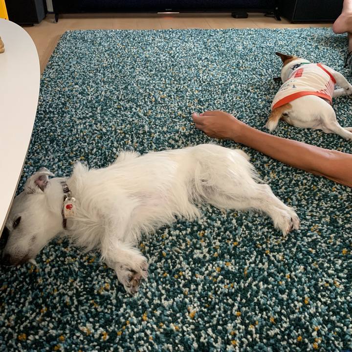 6ad54712 7a64 4190 bc05 81c974e6505d 1624766420658