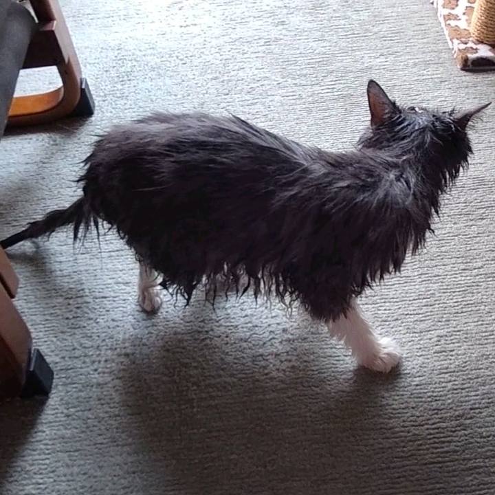 6ad59bbf 6073 4c84 b8fb c4ca112b81df 1653193346563