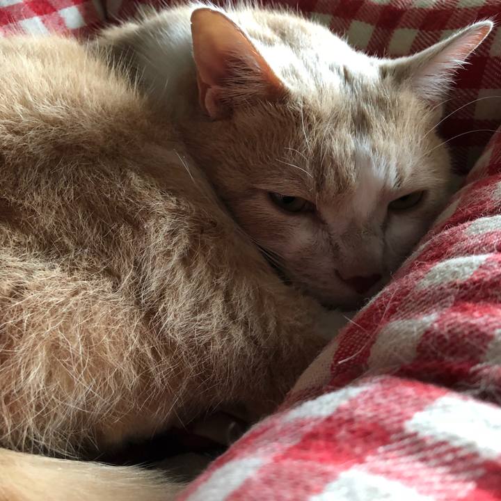 6ad5ad44 584f 4f31 b5eb 041c795f4a36 1509163254280