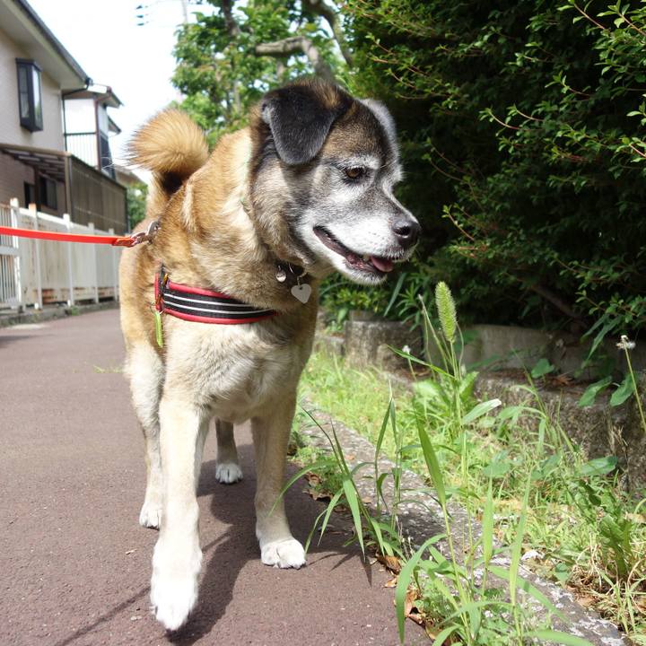 6ad5bcf3 8d74 4f12 a262 7ae8c0cb424d 1526865383443