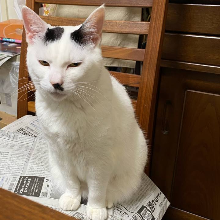 6ad5d21b e0eb 451b b263 34cb478ee57e 1650711057200