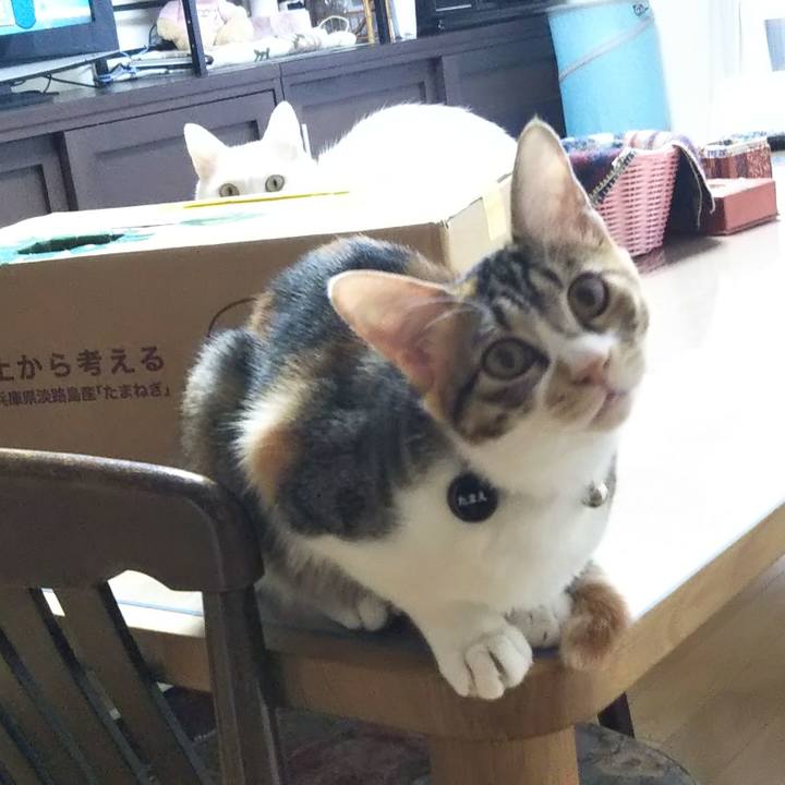 6ad5d352 6ab7 4c77 a389 26c182f0b03b 1638665755305