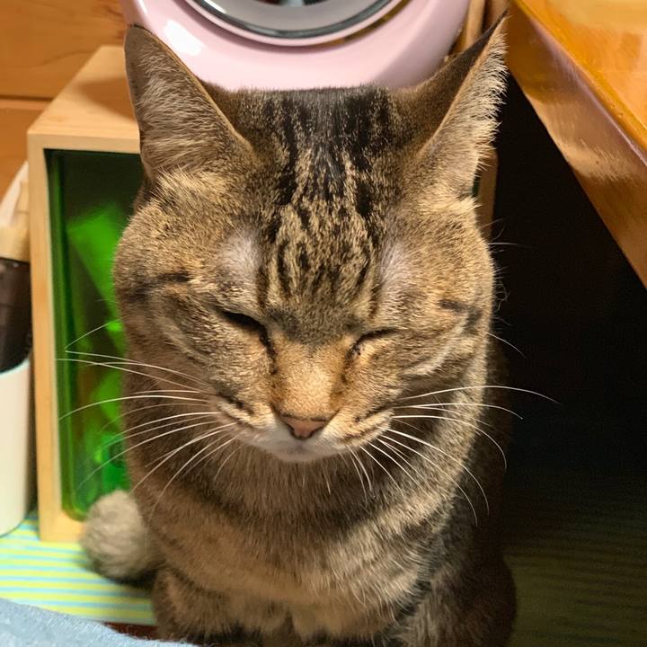 6ad5db81 77c0 4ac9 8bad 247df1f0a31a 1560167239802