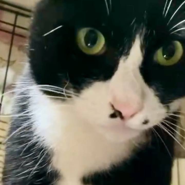 6ad5e2f2 d361 46ce 89a7 6088cbaa415b 1732873351885